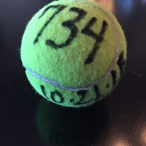 Meet your Posher, Liz